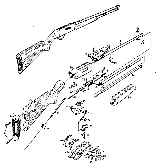 Ted Williams Shotgun Forum - Gunboard's.