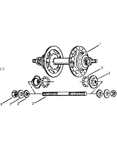 Rear hub