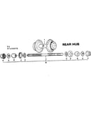 Rear hub
