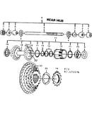 Rear hub