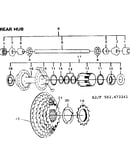 Rear hub