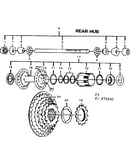 Rear hub