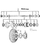 Rear hub