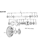 Rear hub