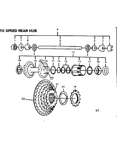 10 speed rear hub