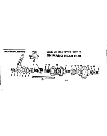 Shimano rear hub