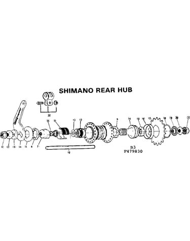 Shimano rear hub