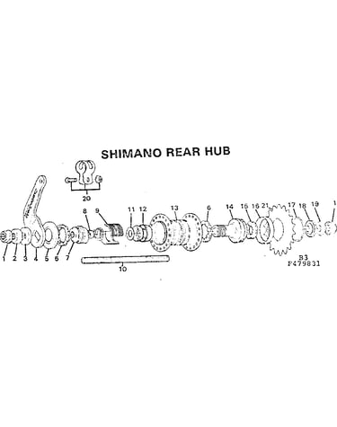 Shimano rear hub