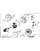 Stator assembly