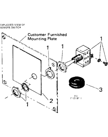 Remote switch