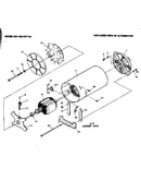 Stator assembly