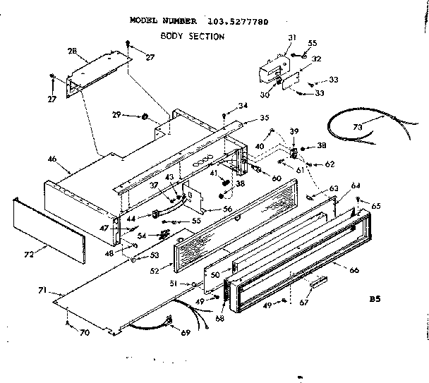 BODY SECTION