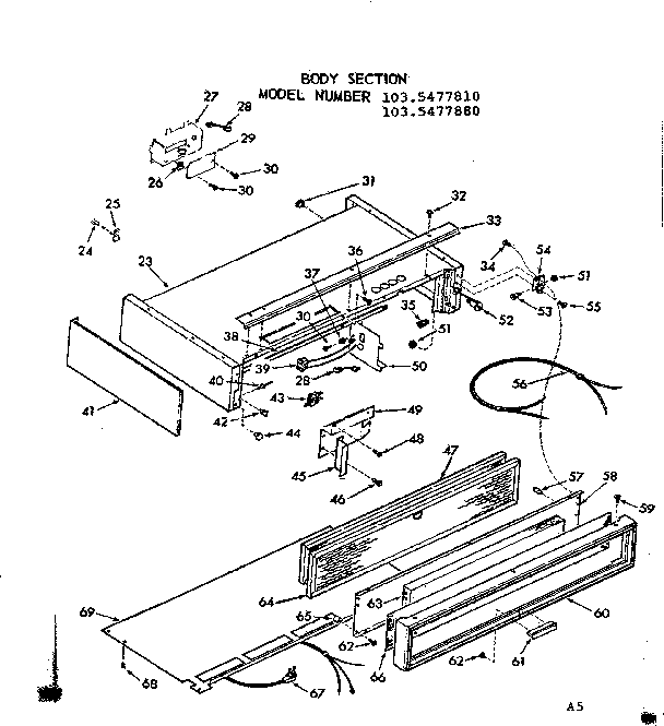 BODY SECTION