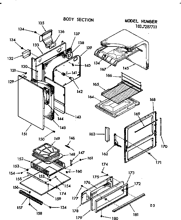 BODY SECTION