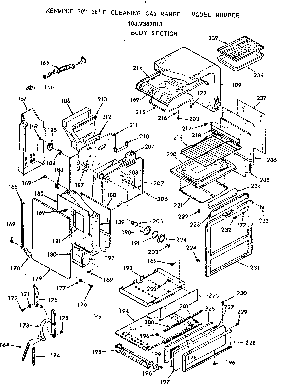 BODY SECTION