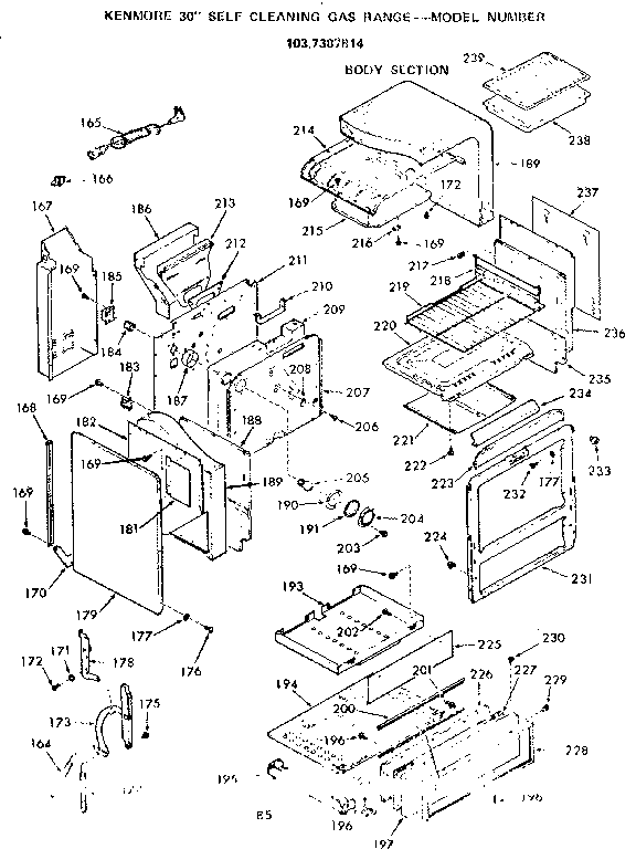 Body section