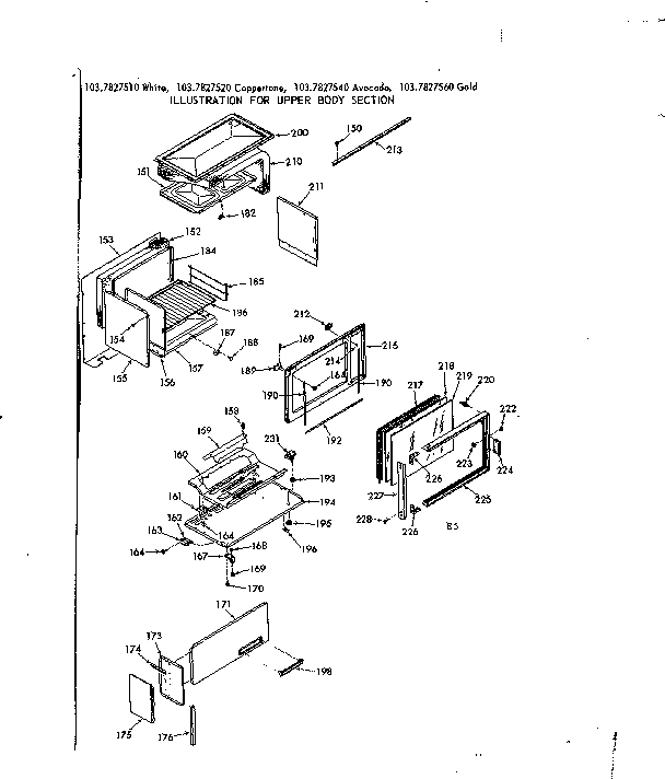 UPPER BODY SECTION