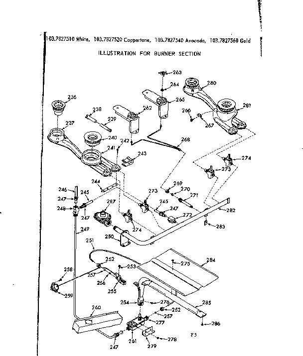 Burner section