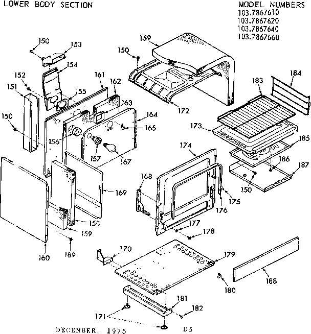 LOWER BODY SECTION