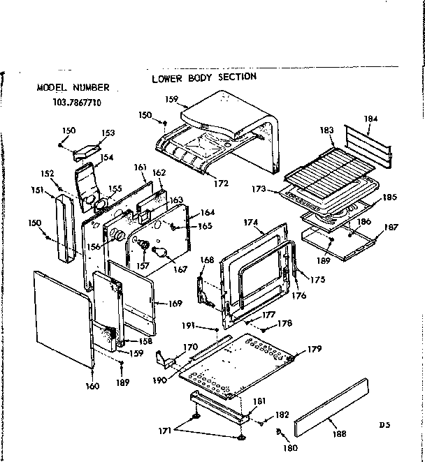Lower body section