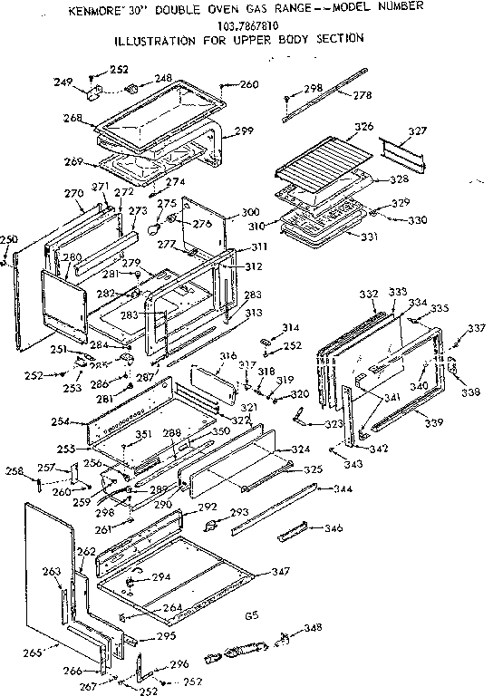 UPPER BODY SECTION