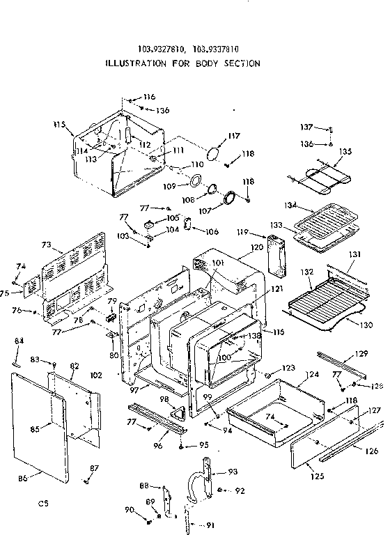 BODY SECTION