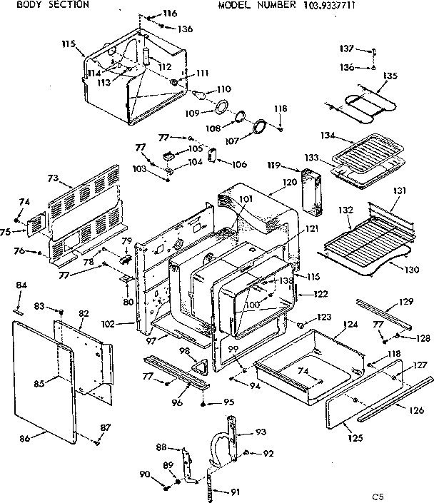 BODY SECTION