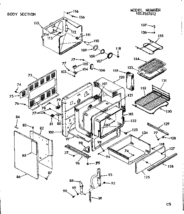 BODY SECTION