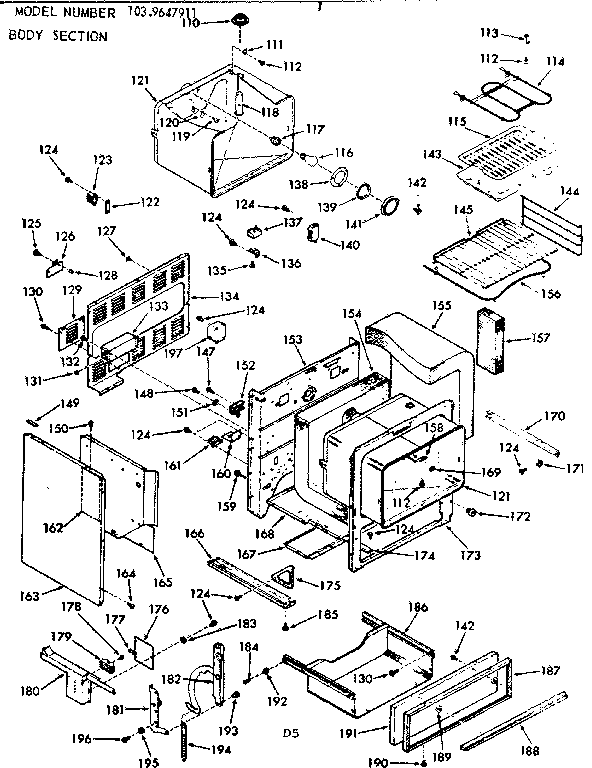 BODY SECTION