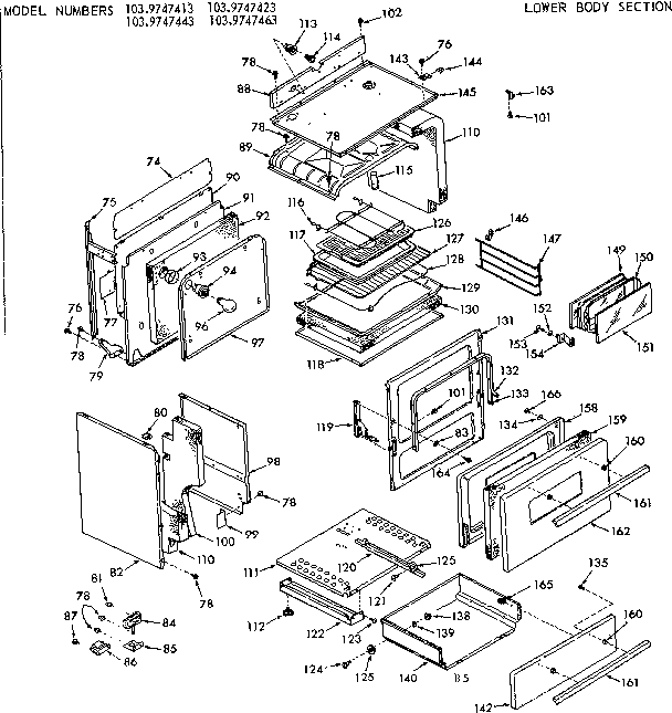 LOWER BODY SECTION