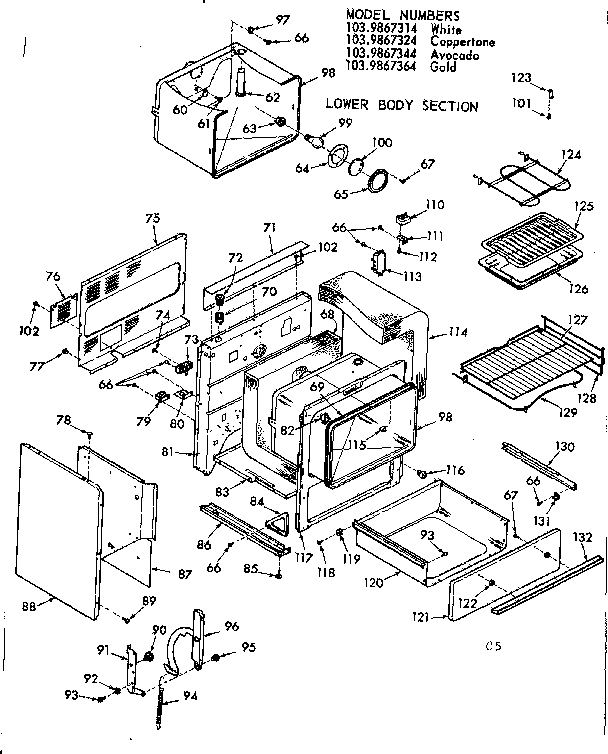 LOWER BODY SECTION