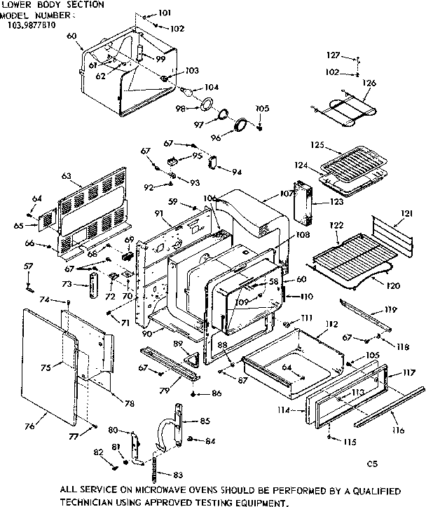 LOWER BODY SECTION