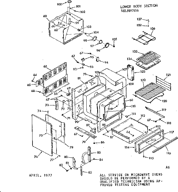 LOWER BODY SECTION