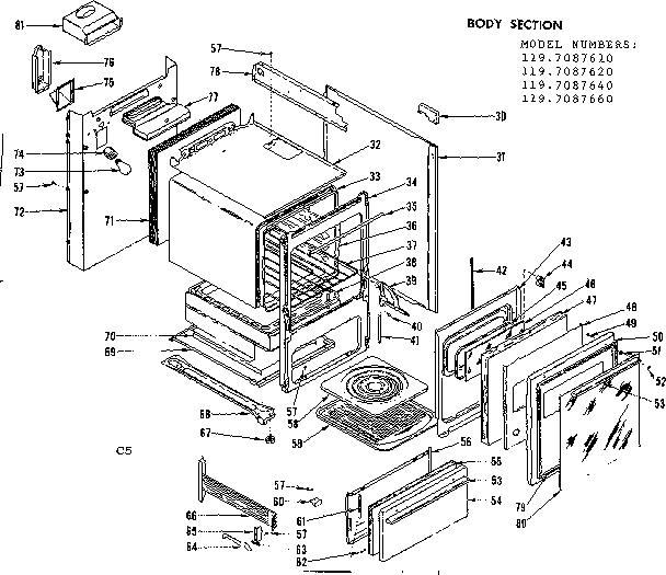Body section