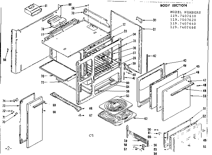 BODY SECTION