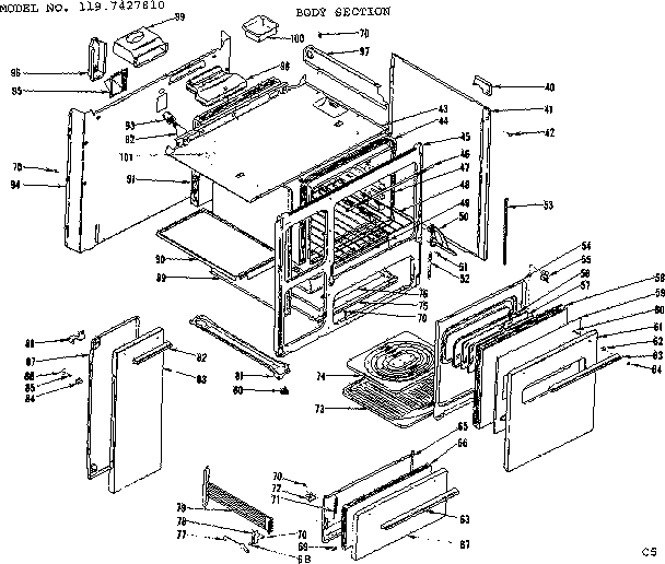 BODY SECTION