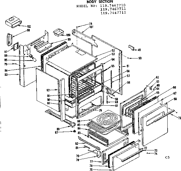 BODY SECTION