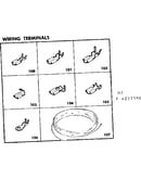Wiring terminals