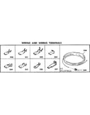 Wiring and wiring terminals