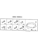 Wiring and wiring terminals
