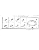 Wiring and wiring terminals