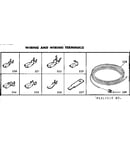 Wiring and wiring terminals