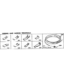 Wiring and wiring terminals