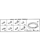 Wiring and wiring terminals