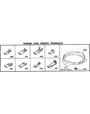 Wiring and wiring terminals