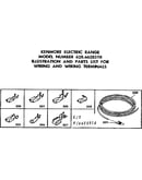 Wiring and wiring terminals