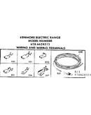 Wiring and wiring terminals