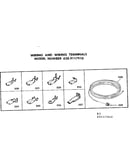 Wiring and wiring terminals