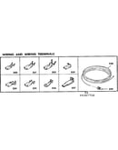 Wiring and wiring terminals