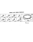 Wiring and wiring terminals
